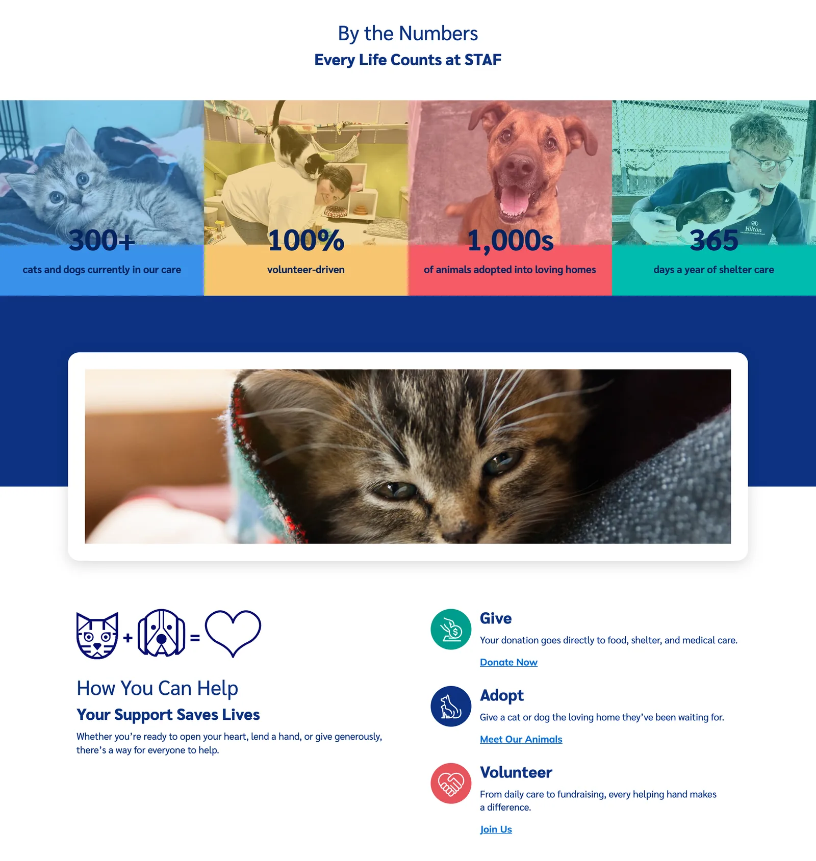 Home page sections showing four shelter statistics over photos, then three ways to help, which are give, adopt and volunteer.